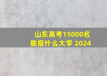 山东高考15000名能报什么大学 2024